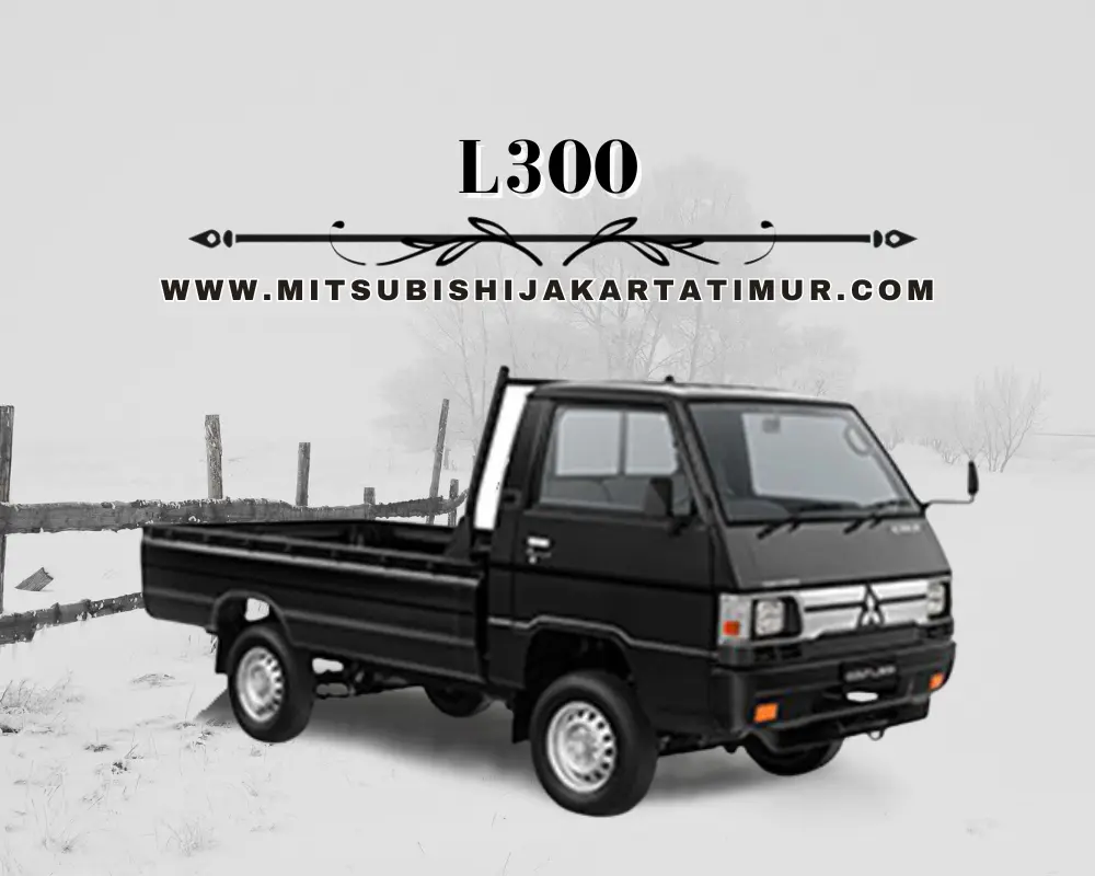 L300
