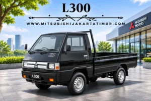 L300