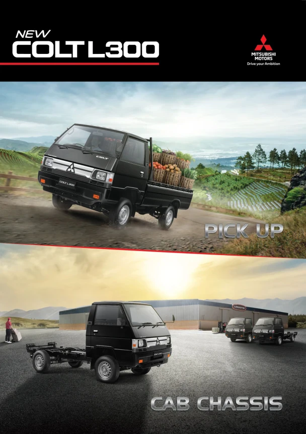 L300